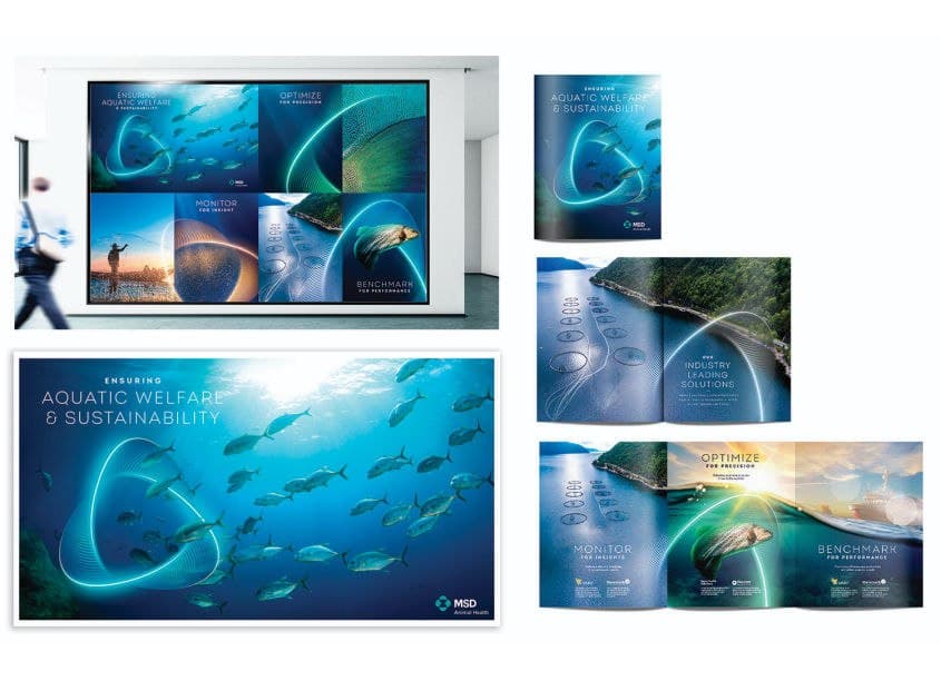 Merck Aqua Culture Branding and Identity Design
