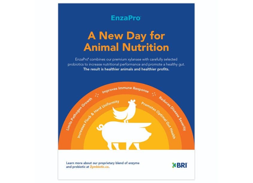 EnzaPro Product Advertisement