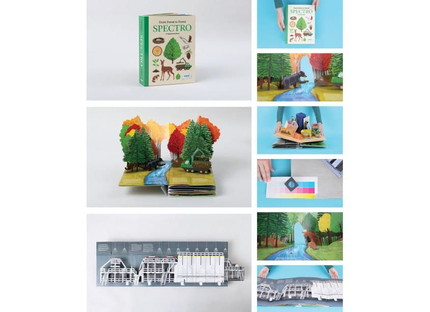 From Forest To Forest: Spectro - A Paperboard Story