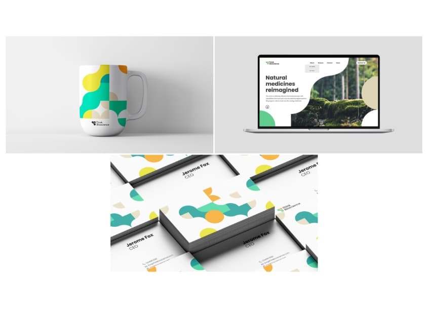 Visual Identity and Website