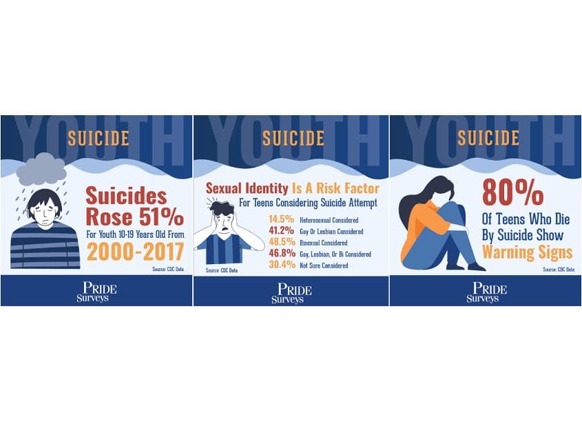 Youth Suicide Survey Data