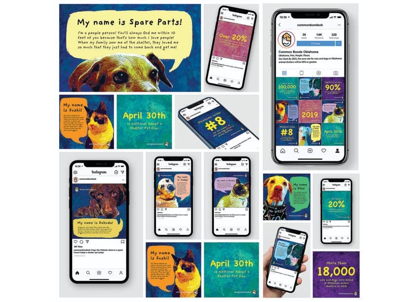Pet Portraits Social Campaign