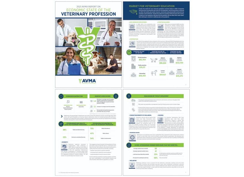2021 AVMA Report on Economic State of the Veterinary Profession Report