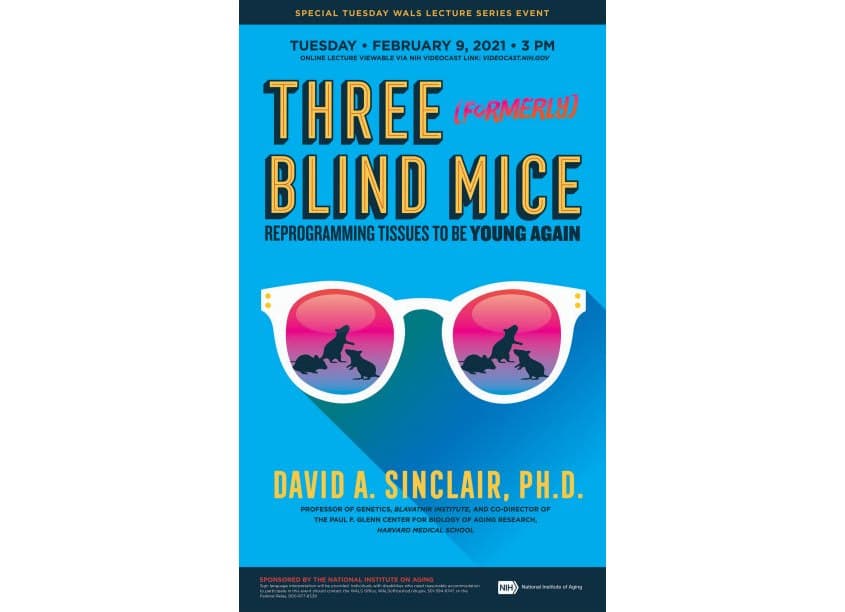 Three (Formerly) Blind Mice
