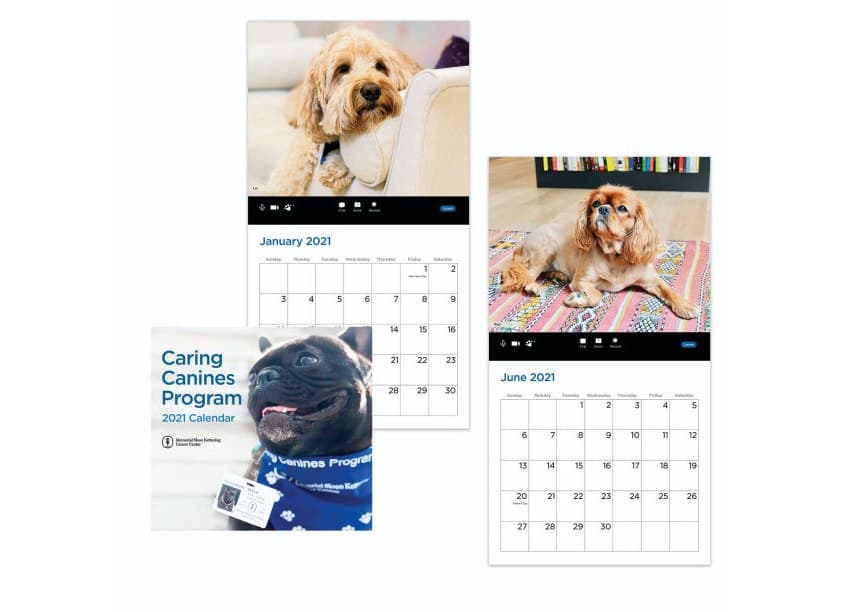 MSK Caring Canines Calendar