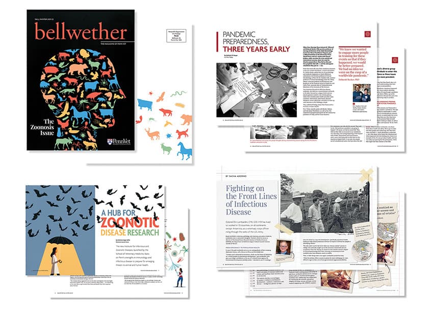 Bellwether Fall/Winter 2021-2022
