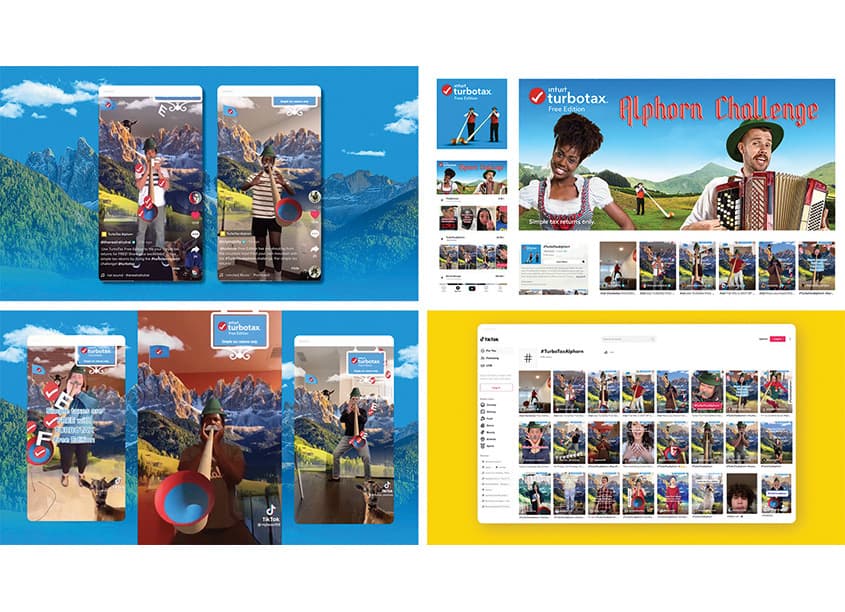 #TurboTaxAlphorn Challenge