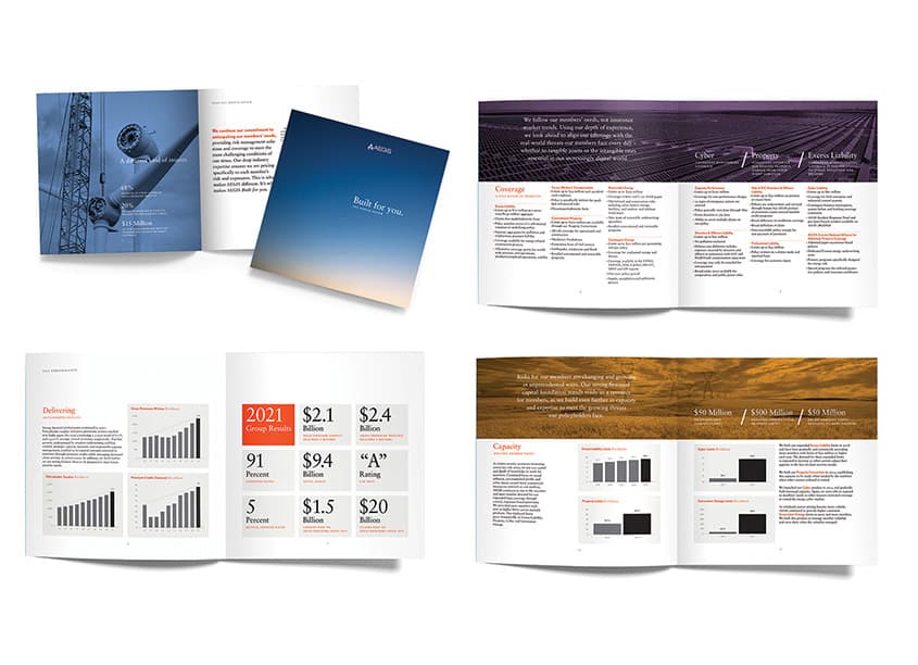 AEGIS 2021 Annual Report