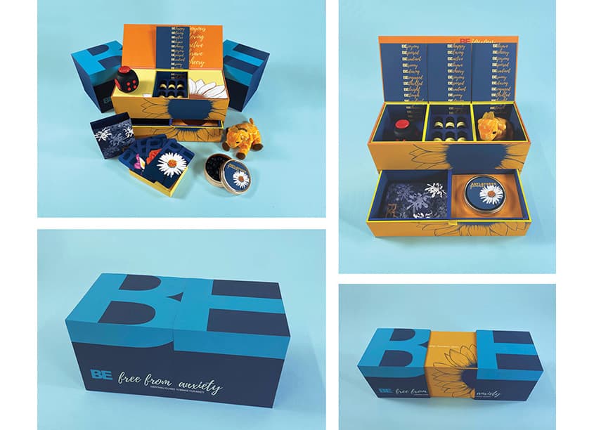 BE (Anti-Anxiety Kit) Project