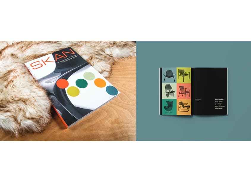 Skan Publication Project