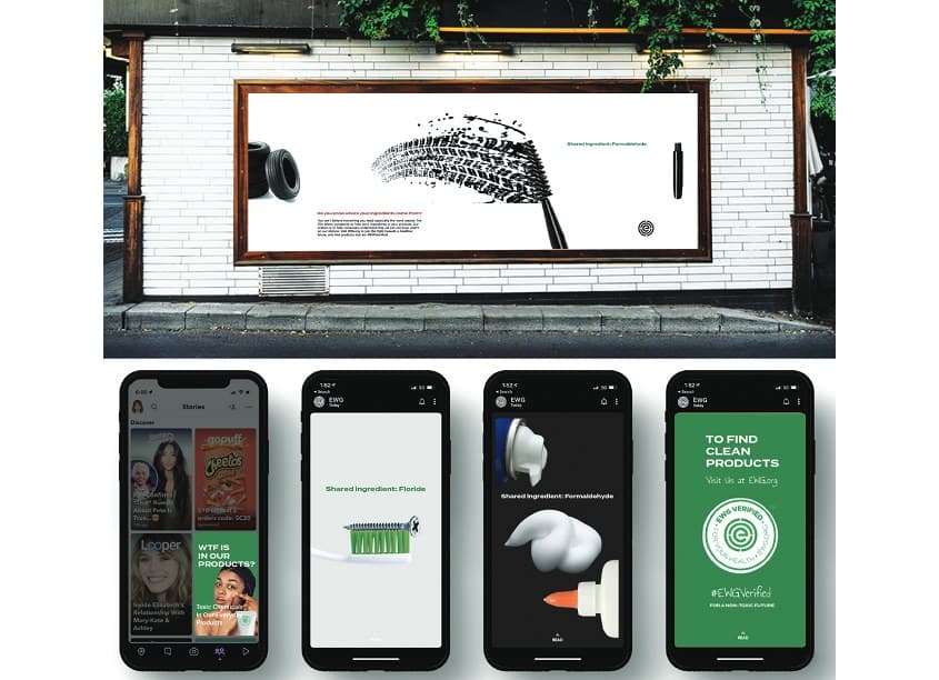 EWG Campaign Project
