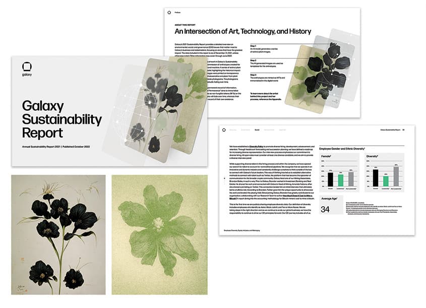 Galaxy 2021 Sustainability Report