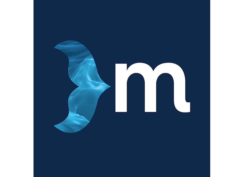 Mermaid, Inc. Fluid Creativity Logomark