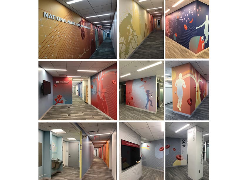 Offices Environmental Graphics