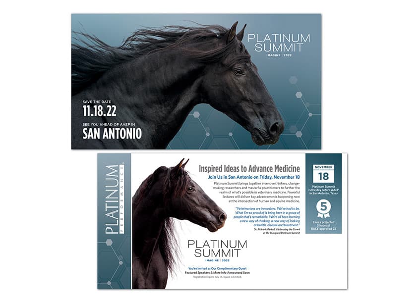 Platinum Summit Save the Date Postcard