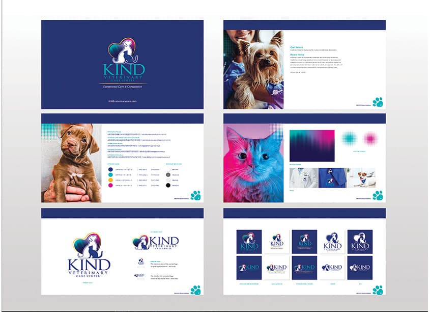 Branding and Identity Program