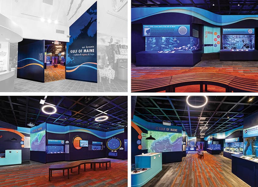 Our Dynamic Gulf of Maine Exhibit