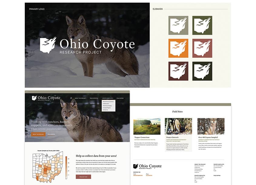 Ohio Coyote Brand and Website Design