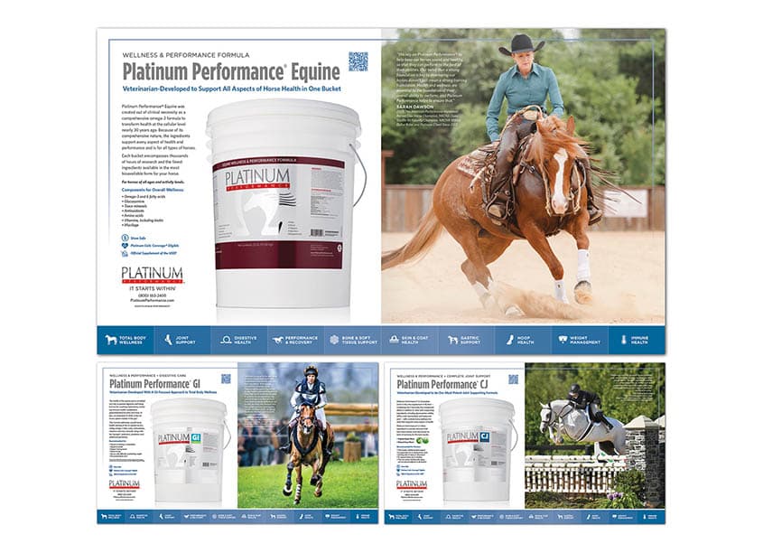 Foundation Formula Advertising Series