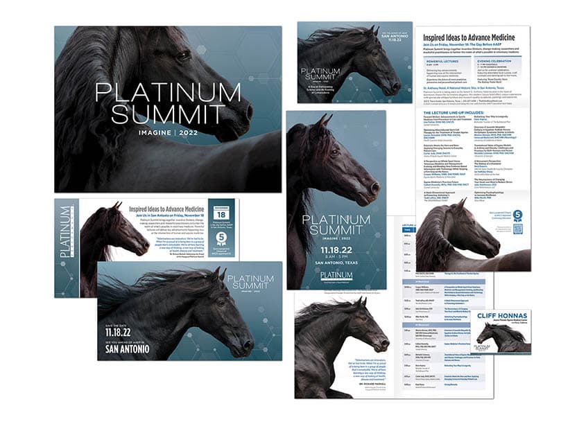 Platinum Summit Branding