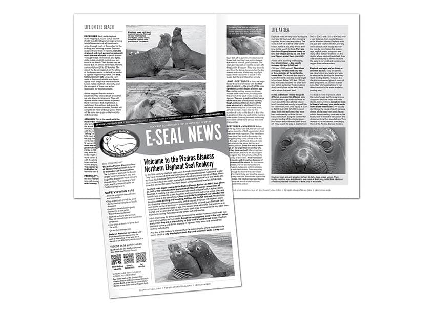 E-Seal News