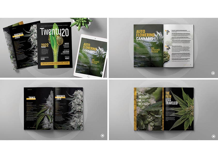 Twenty20 Cannabis Seed Catalog 2022