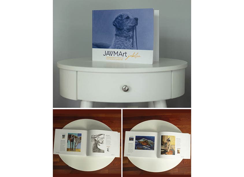 JAVMArt Jubilee: Celebrating 50 Years of Our Favorite Cover Art Book