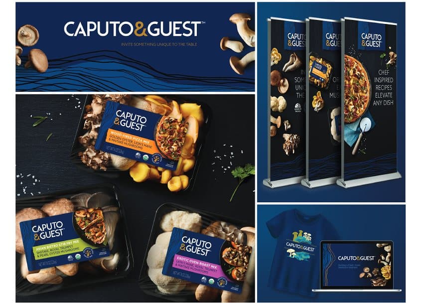 Caputo & Guest Branding and Identity