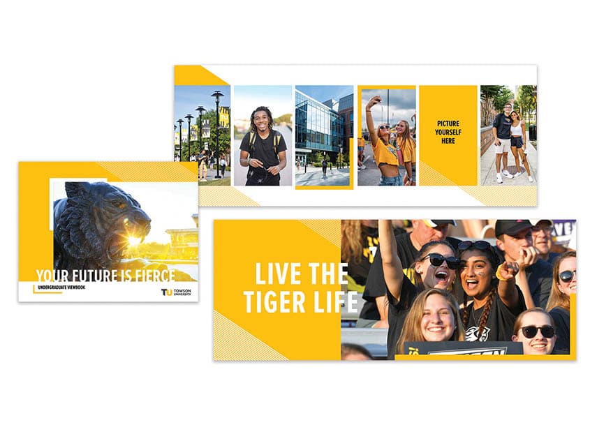 Towson University Viewbook