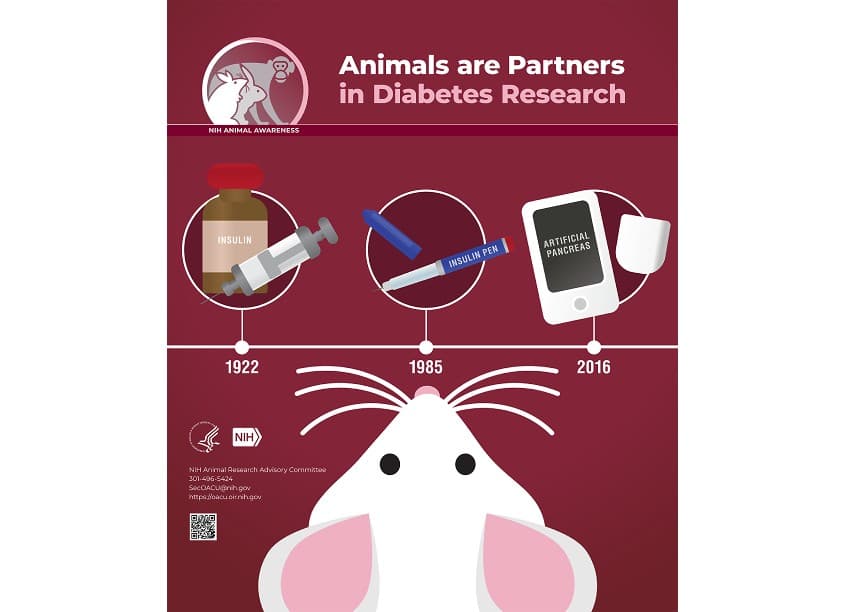 Diabetes Research Poster