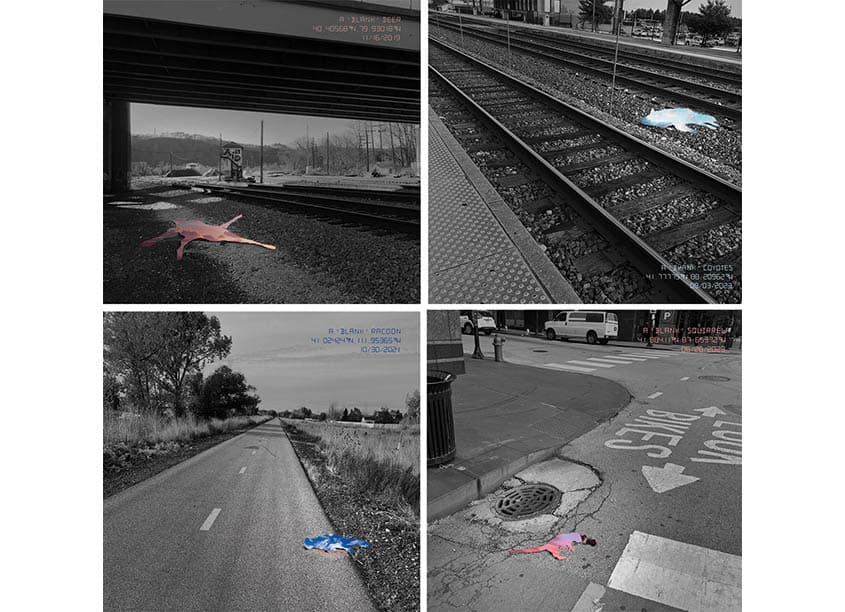 A 'BLANK' : For the Road-Killed Wildlife in Man-Made World