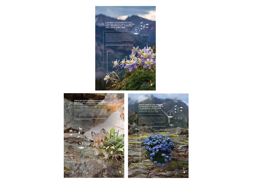 Elevating Plants Brand Awareness Advertising Campaign