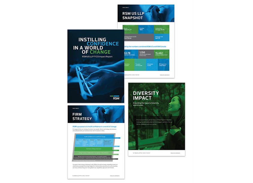 RSM 2023 Impact Report