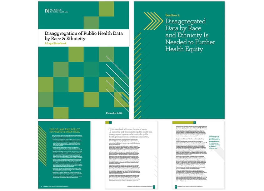 Disaggregation of Public Health Data by Race & Ethnicity: A Legal Handbook