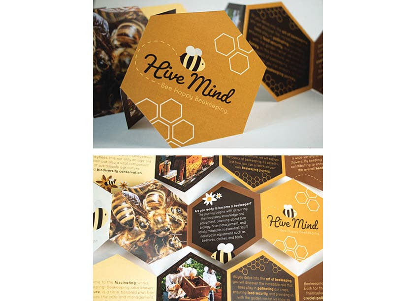 Hive Mind Brochure
