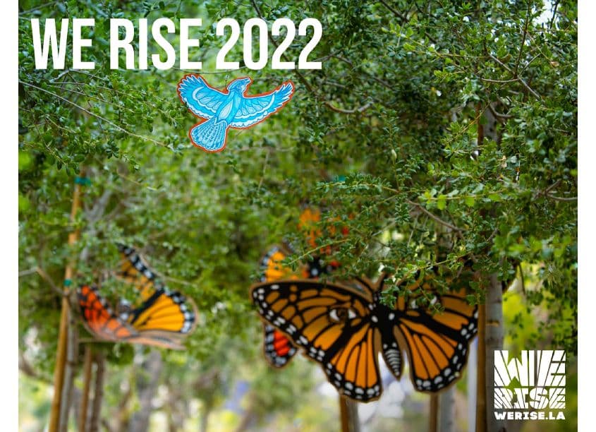 WE RISE 2022 Final Report