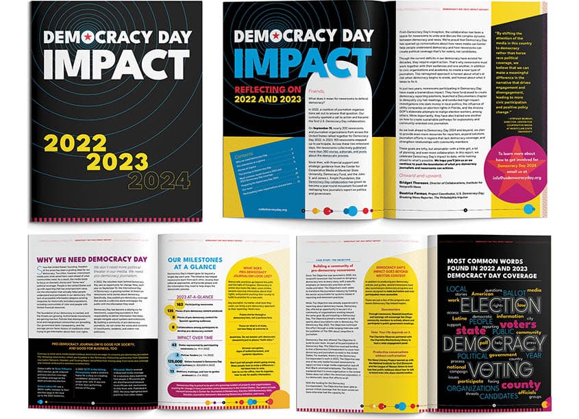 Democracy Day Impact Report