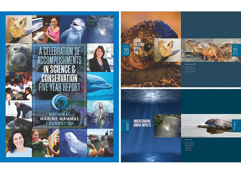 Five Year Report - A Celebration of Accomplishments
