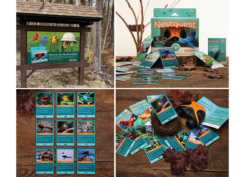 Nestquest: Birdspotting Binoculars with Advanced Image Recognition