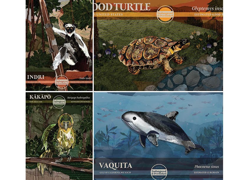 Endangered and Overlooked Project