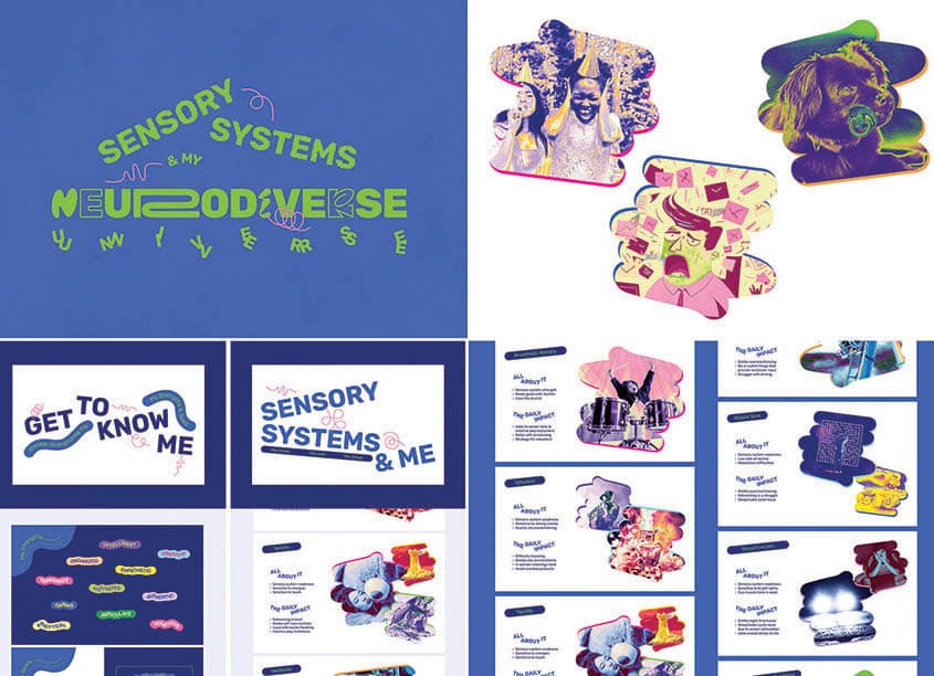 Sensory Systems Presentation