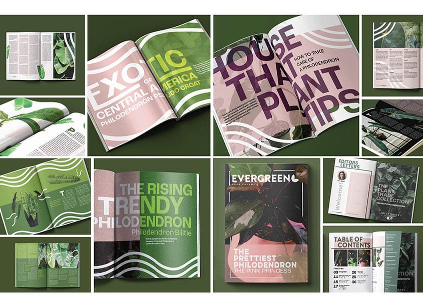 Philodendron Magazine