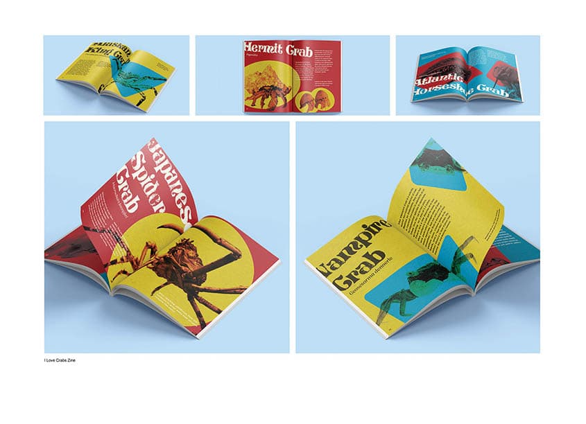 I Love Crabs Zine