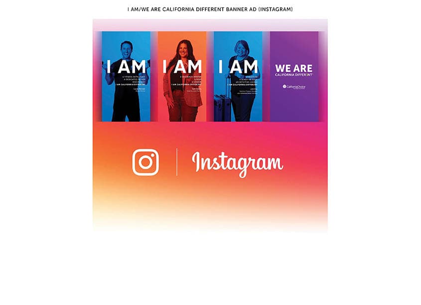 “I Am/We Are California Different” Banner Ad