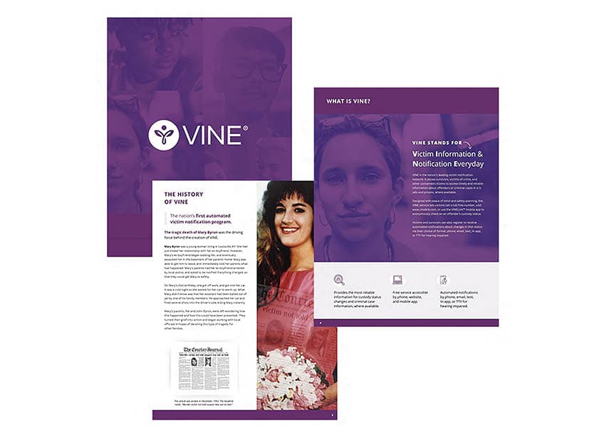 VINE Brochure