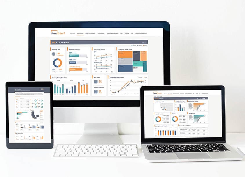 BKM Intel Executive Dashboard