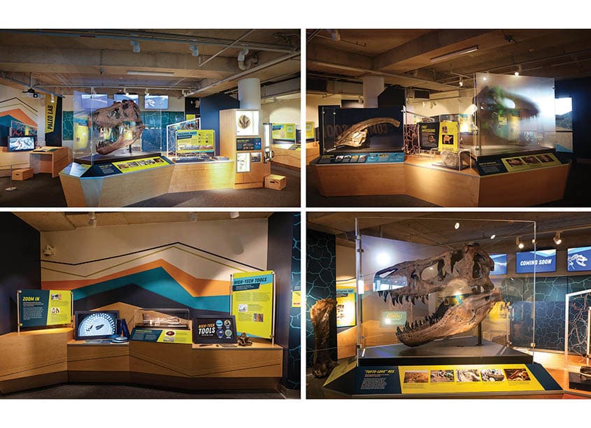 The Dig Exhibition