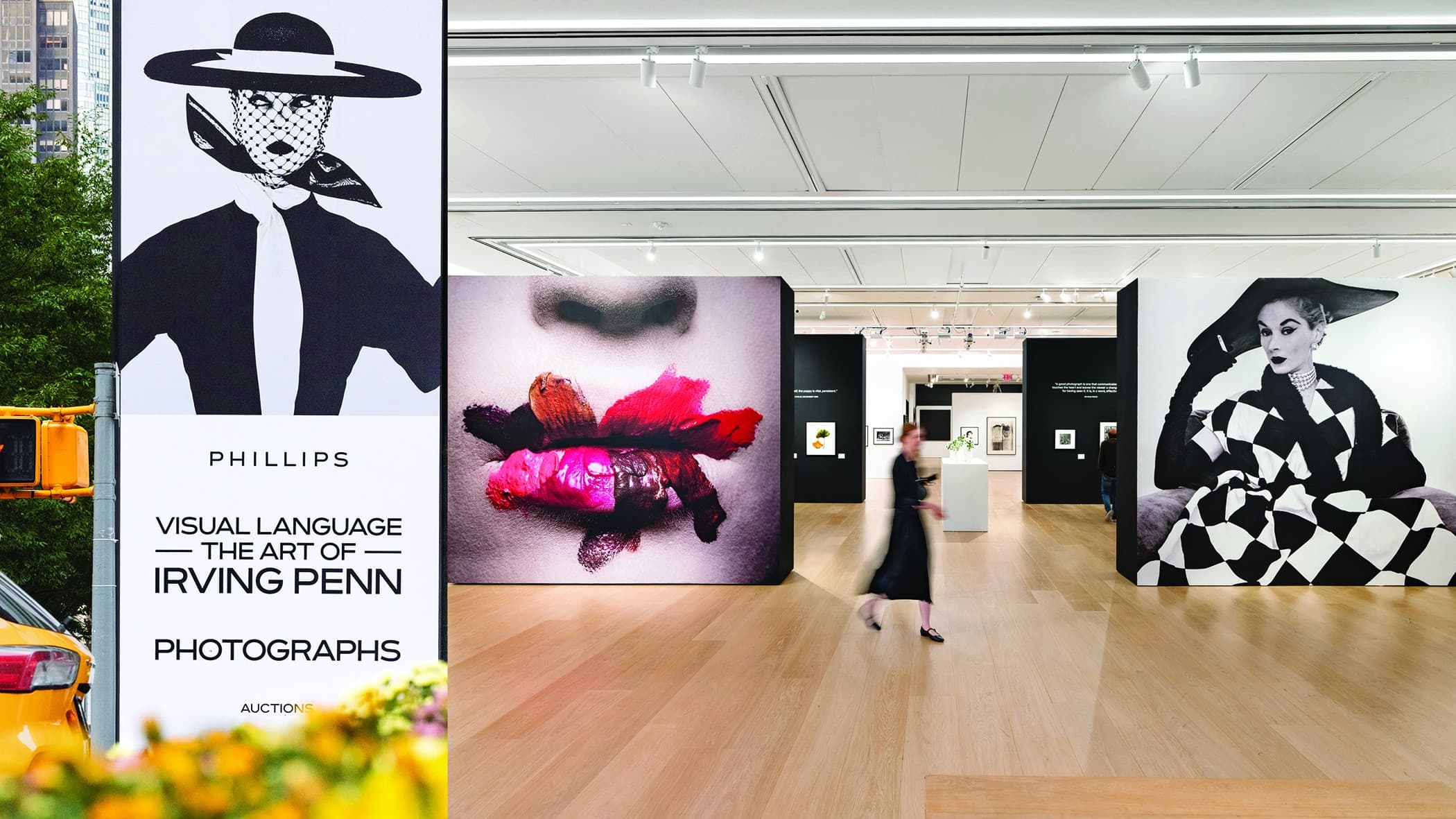 Visual Language: The Art of Irving Penn Auction Campaign