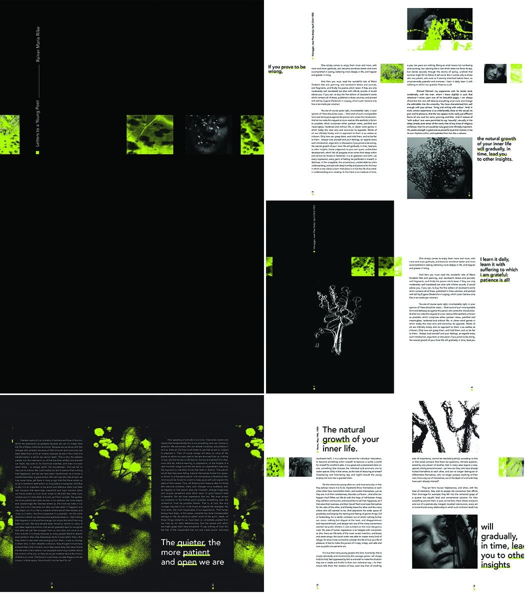 Book Design Class Project