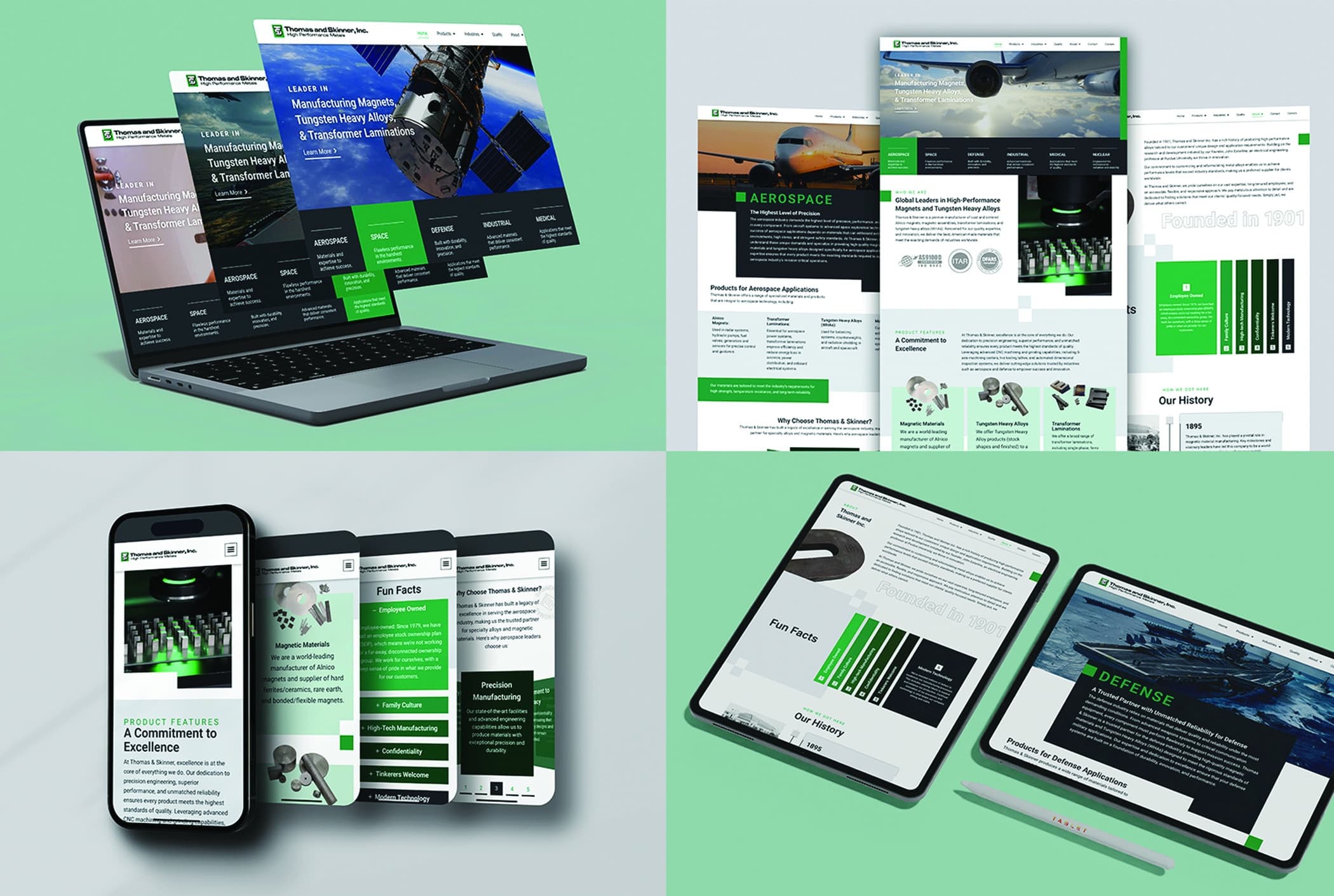 Thomas and Skinner Website Design